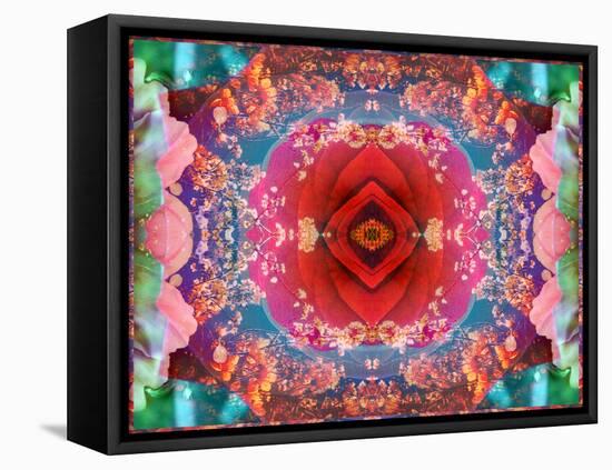 A Mandala from Flower Photographs-Alaya Gadeh-Framed Stretched Canvas