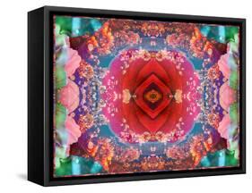 A Mandala from Flower Photographs-Alaya Gadeh-Framed Stretched Canvas