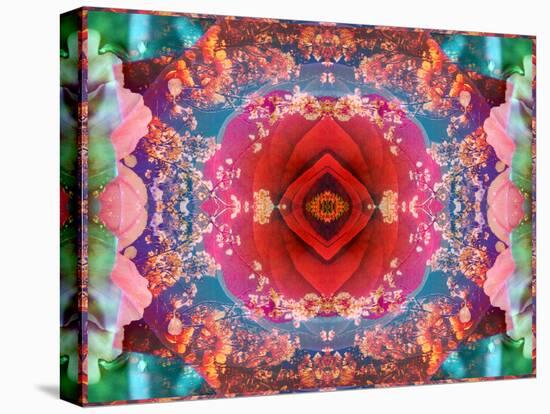 A Mandala from Flower Photographs-Alaya Gadeh-Stretched Canvas