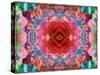 A Mandala from Flower Photographs-Alaya Gadeh-Stretched Canvas