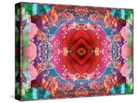 A Mandala from Flower Photographs-Alaya Gadeh-Stretched Canvas