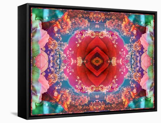 A Mandala from Flower Photographs-Alaya Gadeh-Framed Stretched Canvas