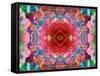 A Mandala from Flower Photographs-Alaya Gadeh-Framed Stretched Canvas