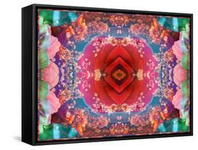 A Mandala from Flower Photographs-Alaya Gadeh-Framed Stretched Canvas