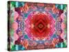 A Mandala from Flower Photographs-Alaya Gadeh-Stretched Canvas