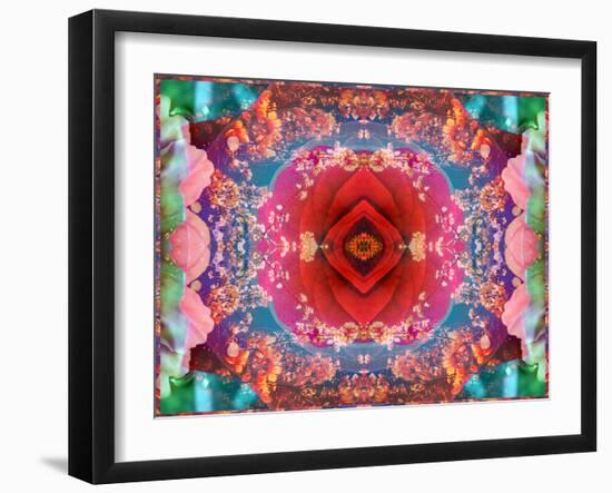 A Mandala from Flower Photographs-Alaya Gadeh-Framed Photographic Print