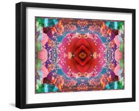 A Mandala from Flower Photographs-Alaya Gadeh-Framed Photographic Print