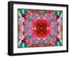 A Mandala from Flower Photographs-Alaya Gadeh-Framed Photographic Print