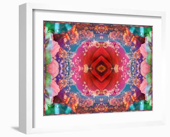 A Mandala from Flower Photographs-Alaya Gadeh-Framed Photographic Print