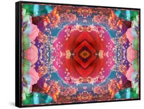 A Mandala from Flower Photographs-Alaya Gadeh-Framed Stretched Canvas