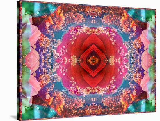 A Mandala from Flower Photographs-Alaya Gadeh-Stretched Canvas