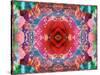 A Mandala from Flower Photographs-Alaya Gadeh-Stretched Canvas