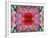 A Mandala from Flower Photographs-Alaya Gadeh-Framed Photographic Print