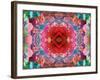 A Mandala from Flower Photographs-Alaya Gadeh-Framed Photographic Print