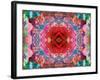 A Mandala from Flower Photographs-Alaya Gadeh-Framed Photographic Print