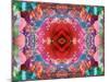 A Mandala from Flower Photographs-Alaya Gadeh-Mounted Photographic Print