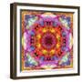 A Mandala from Flower Photographs-Alaya Gadeh-Framed Photographic Print