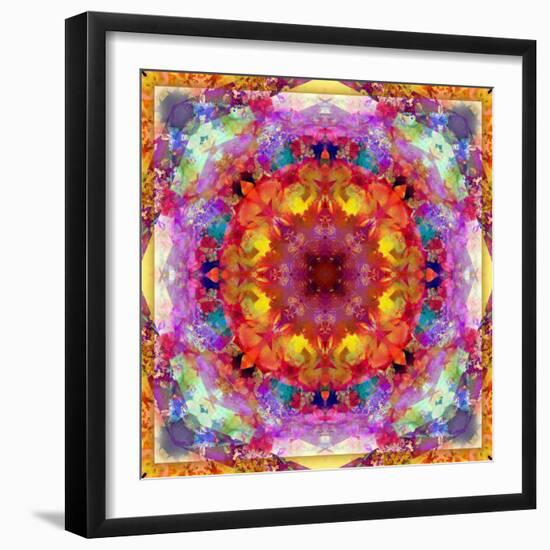 A Mandala from Flower Photographs-Alaya Gadeh-Framed Photographic Print