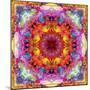 A Mandala from Flower Photographs-Alaya Gadeh-Mounted Photographic Print