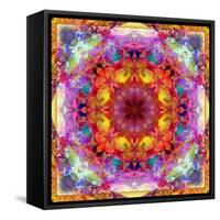 A Mandala from Flower Photographs-Alaya Gadeh-Framed Stretched Canvas