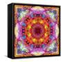 A Mandala from Flower Photographs-Alaya Gadeh-Framed Stretched Canvas