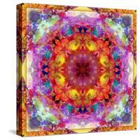 A Mandala from Flower Photographs-Alaya Gadeh-Stretched Canvas