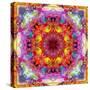 A Mandala from Flower Photographs-Alaya Gadeh-Stretched Canvas