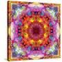 A Mandala from Flower Photographs-Alaya Gadeh-Stretched Canvas