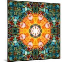 A Mandala from Flower Photographs-Alaya Gadeh-Mounted Photographic Print