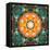 A Mandala from Flower Photographs-Alaya Gadeh-Framed Stretched Canvas