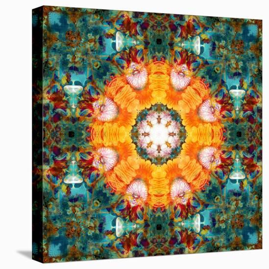 A Mandala from Flower Photographs-Alaya Gadeh-Stretched Canvas