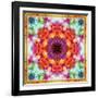 A Mandala from Flower Photographs-Alaya Gadeh-Framed Photographic Print