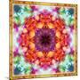 A Mandala from Flower Photographs-Alaya Gadeh-Mounted Photographic Print