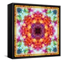 A Mandala from Flower Photographs-Alaya Gadeh-Framed Stretched Canvas