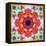 A Mandala from Flower Photographs-Alaya Gadeh-Framed Stretched Canvas