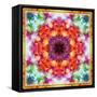 A Mandala from Flower Photographs-Alaya Gadeh-Framed Stretched Canvas