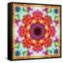 A Mandala from Flower Photographs-Alaya Gadeh-Framed Stretched Canvas