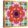 A Mandala from Flower Photographs-Alaya Gadeh-Stretched Canvas