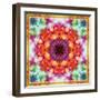 A Mandala from Flower Photographs-Alaya Gadeh-Framed Photographic Print