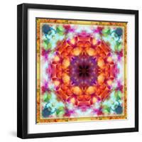 A Mandala from Flower Photographs-Alaya Gadeh-Framed Photographic Print