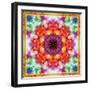 A Mandala from Flower Photographs-Alaya Gadeh-Framed Photographic Print