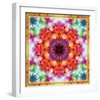 A Mandala from Flower Photographs-Alaya Gadeh-Framed Photographic Print