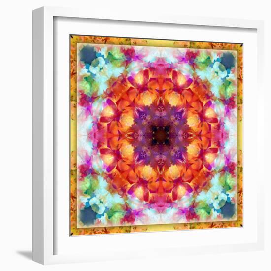 A Mandala from Flower Photographs-Alaya Gadeh-Framed Photographic Print