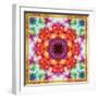 A Mandala from Flower Photographs-Alaya Gadeh-Framed Photographic Print