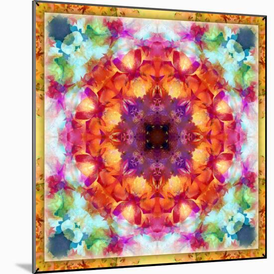 A Mandala from Flower Photographs-Alaya Gadeh-Mounted Photographic Print