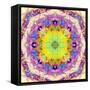 A Mandala from Flower Photographs-Alaya Gadeh-Framed Stretched Canvas