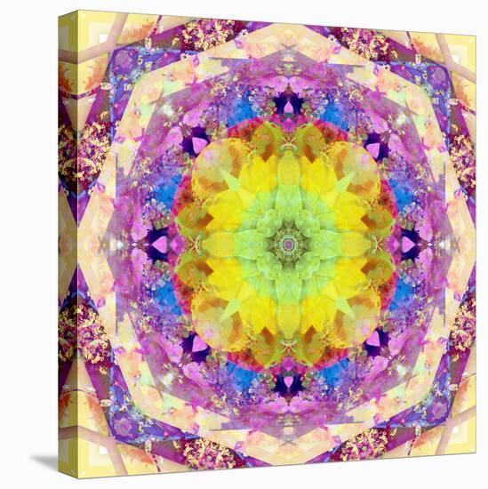 A Mandala from Flower Photographs-Alaya Gadeh-Stretched Canvas