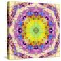 A Mandala from Flower Photographs-Alaya Gadeh-Stretched Canvas