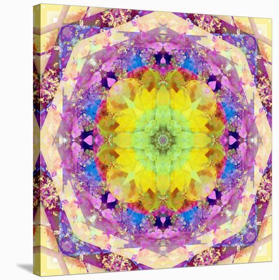 A Mandala from Flower Photographs-Alaya Gadeh-Stretched Canvas