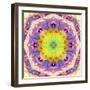 A Mandala from Flower Photographs-Alaya Gadeh-Framed Photographic Print